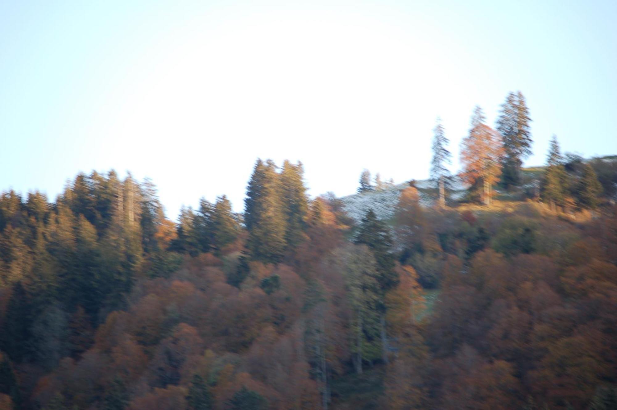 Gasthaus Schaefli Alt St. Johann Esterno foto